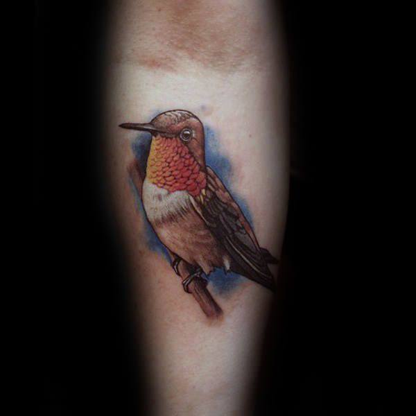 tatouage colibri 542