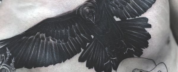 tatouage corbeau 338