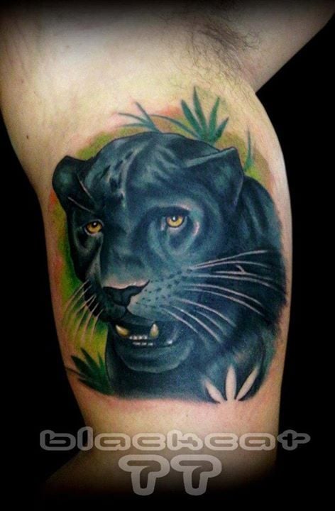 tatouage panthere 80