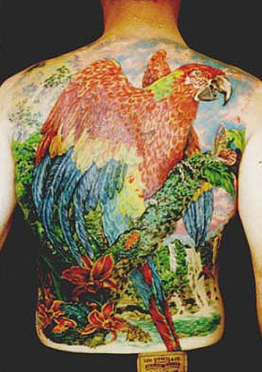 tatouage perroquet 107