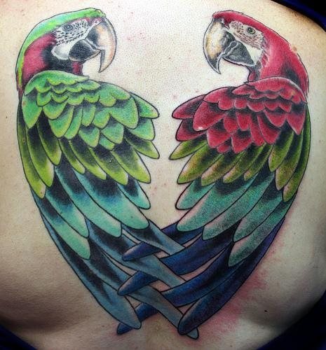 tatouage perroquet 128