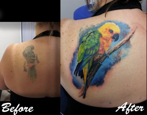 tatouage perroquet 155