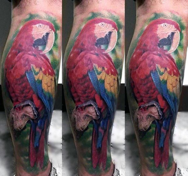 tatouage perroquet 224
