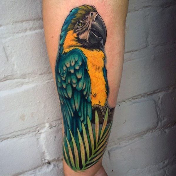 tatouage perroquet 230
