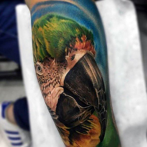 tatouage perroquet 251