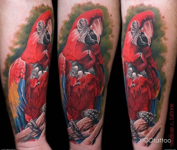 tatouage perroquet 266