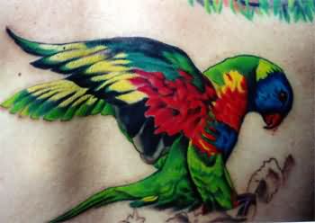 tatouage perroquet 89