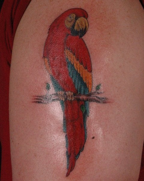 tatouage perroquet 98