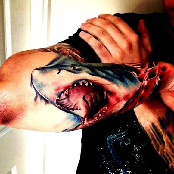tatouage requin 209