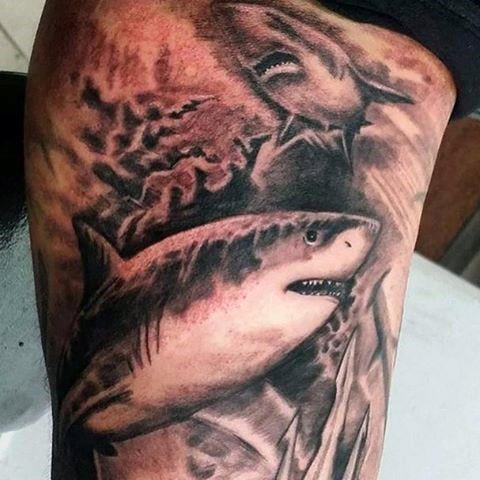 tatouage requin 212