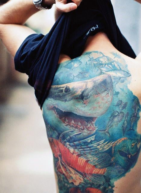 tatouage requin 293