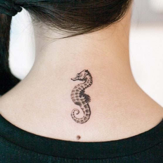 tatouage hippocampe 233