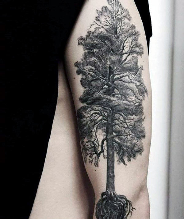 tatouage racines arbre 67