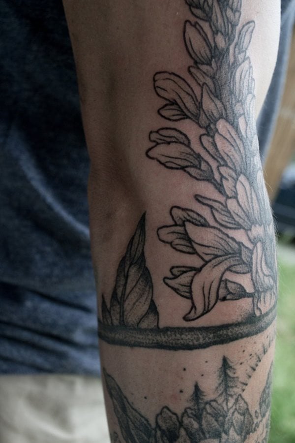 tatouage plant grimpante 310