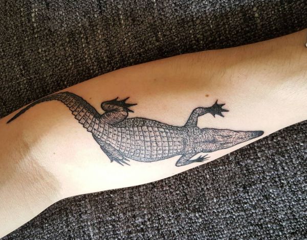 tatouage alligator 24