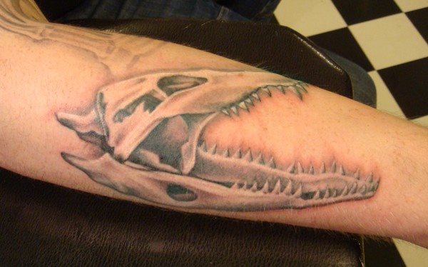tatouage alligator 48