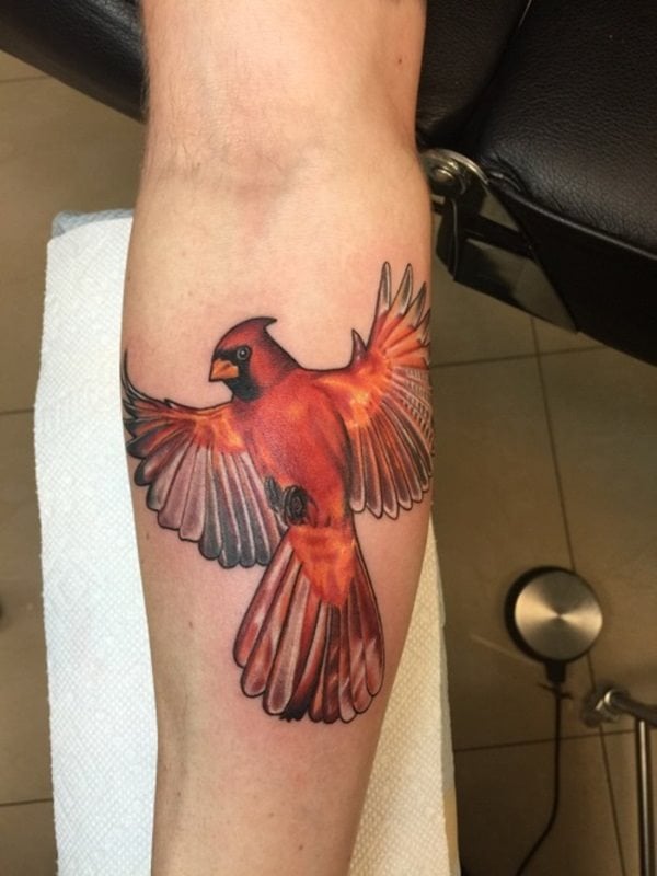 tatouage oiseau 340