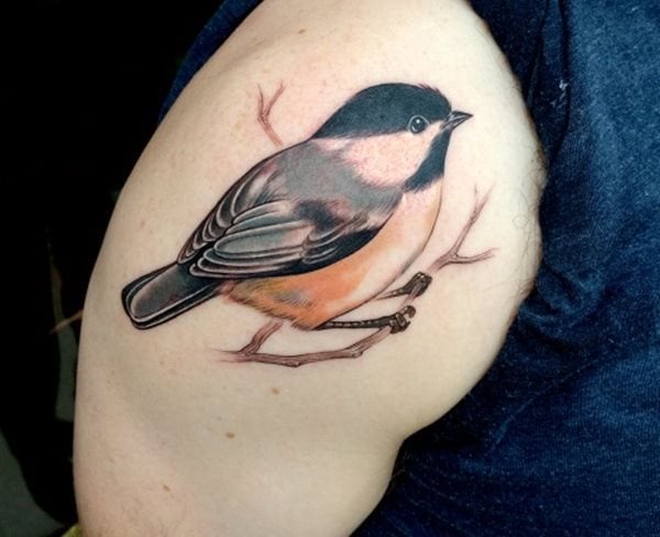 tatouage oiseau 376