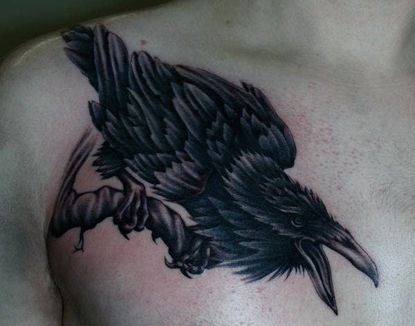 tatouage oiseau 734