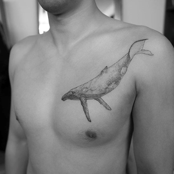 tatouage baleine 147