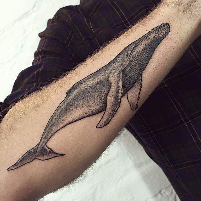 tatouage baleine 187