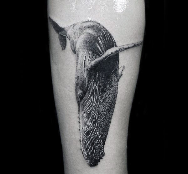 tatouage baleine 191
