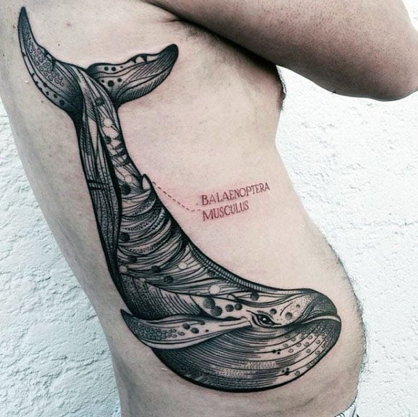 tatouage baleine 221