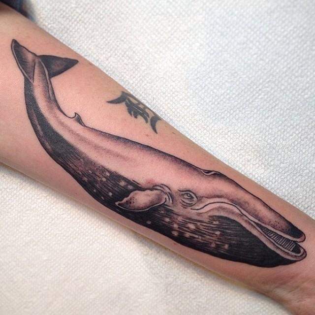 tatouage baleine 241