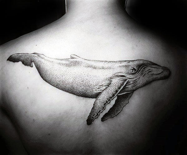 tatouage baleine 33