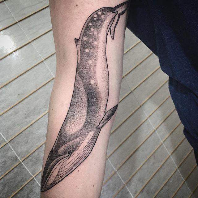 tatouage baleine 37