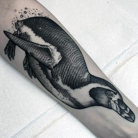 tatouage pingouin 33