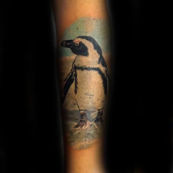 tatouage pingouin 43