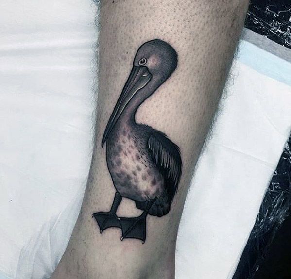 tatouage pelican 03