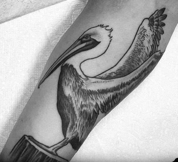tatouage pelican 49