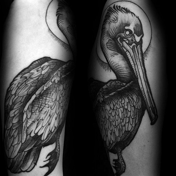 tatouage pelican 77