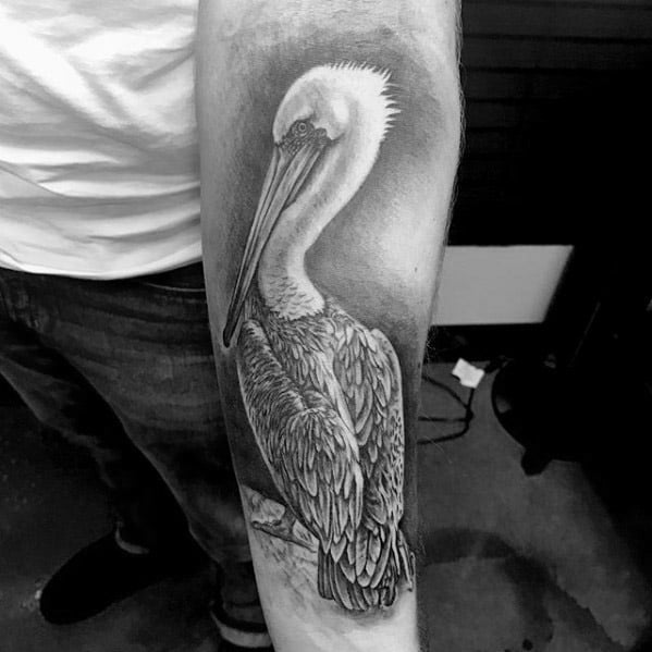 tatouage pelican 87