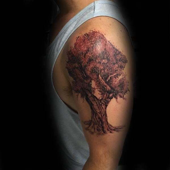 tatouage olivier arbre 03