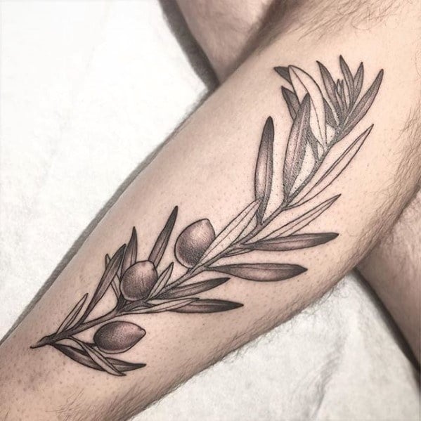 tatouage olivier arbre 17