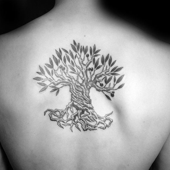 tatouage olivier arbre 35