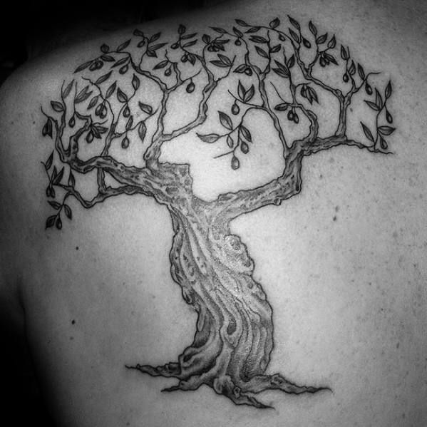 tatouage olivier arbre 37