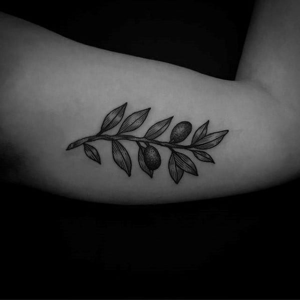 tatouage olivier arbre 49