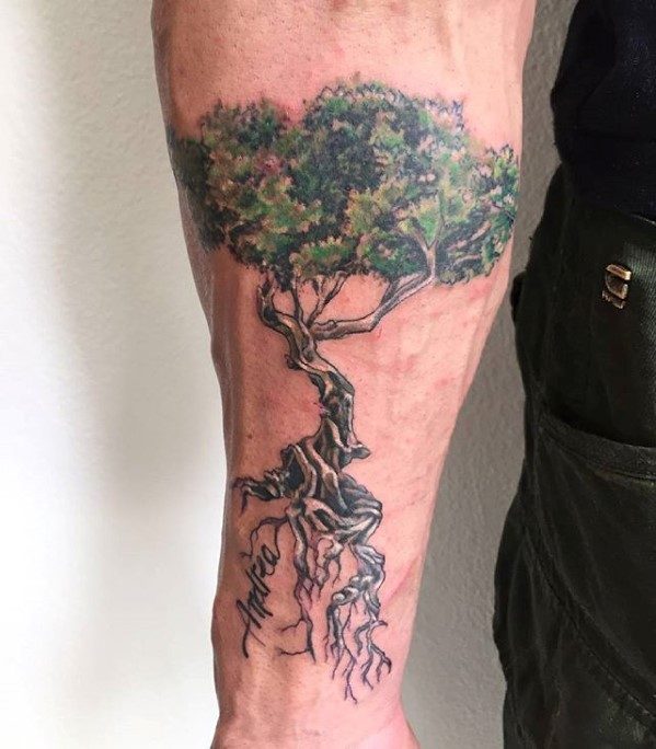 tatouage olivier arbre 53