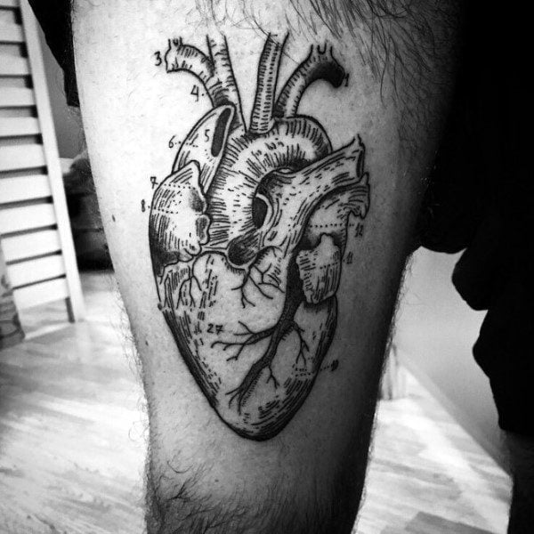 tatouage coeur anatomique realiste 131