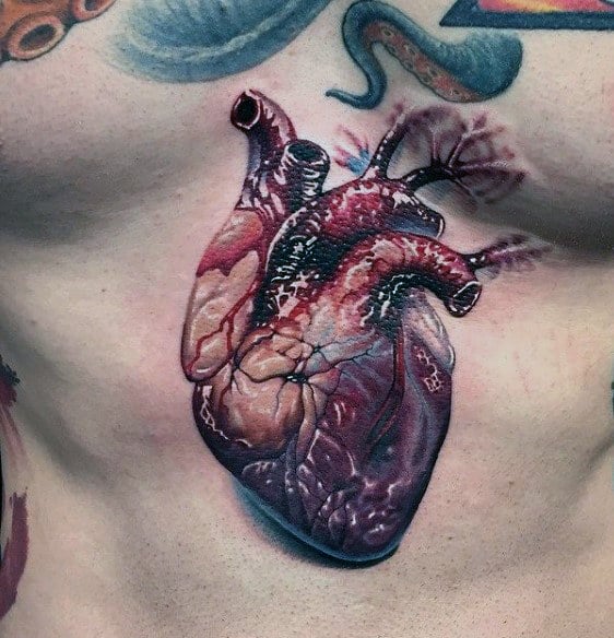 tatouage coeur anatomique realiste 169
