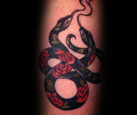tatouage serpent deux tetes 35