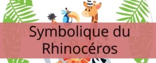 symbolique du rhinoceros