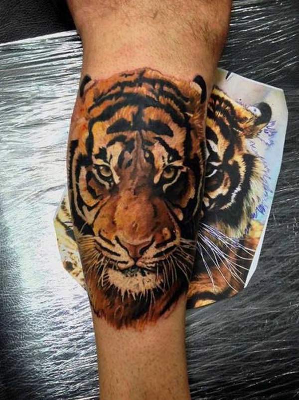tiger tattoo 170