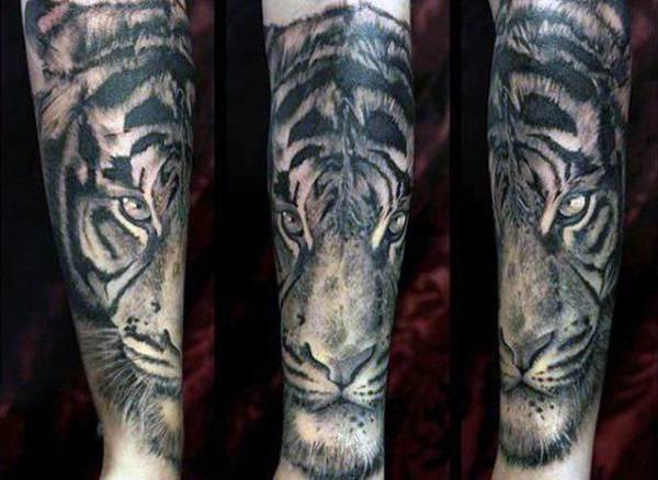 tiger tattoo 178