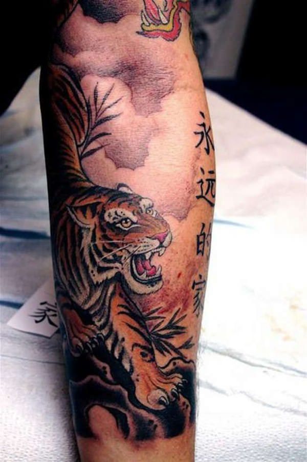 tiger tattoo 185