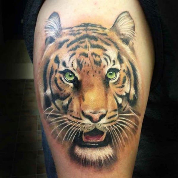 tiger tattoo 204
